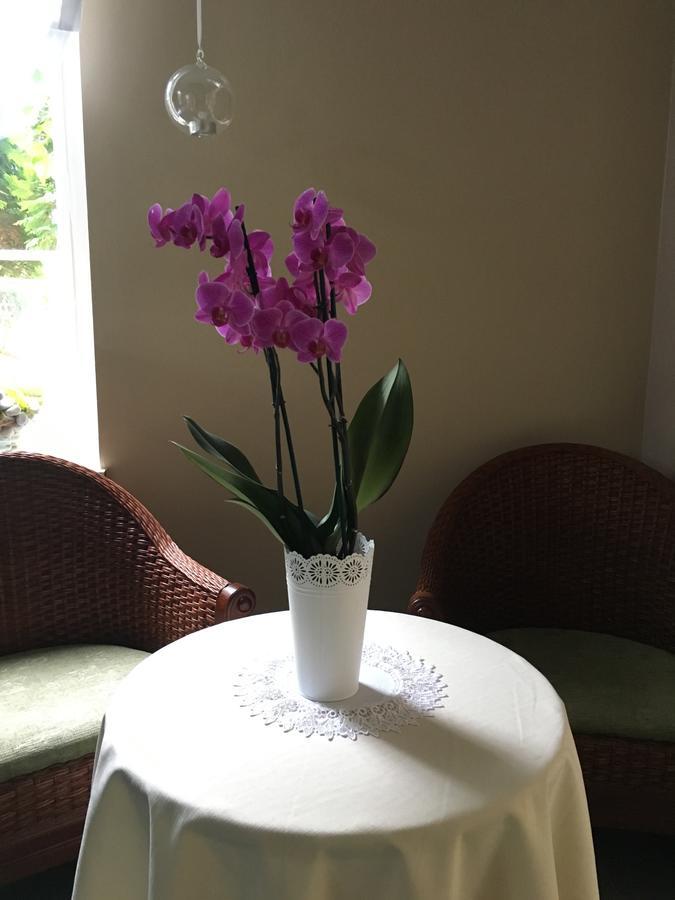 Hotel Kamil Kwidzyn Εξωτερικό φωτογραφία